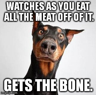 Dogs Lose Out on Life | WATCHES AS YOU EAT ALL THE MEAT OFF OF IT. GETS THE BONE. | image tagged in startled dog | made w/ Imgflip meme maker