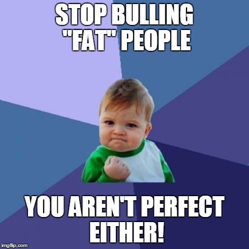 Success Kid Meme | STOP BULLING "FAT" PEOPLE YOU AREN'T PERFECT EITHER! | image tagged in memes,success kid | made w/ Imgflip meme maker