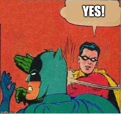 robin strikes back | YES! | image tagged in robin strikes back | made w/ Imgflip meme maker