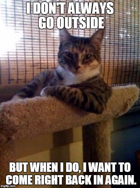 I don't always go outside. | I DON'T ALWAYS GO OUTSIDE BUT WHEN I DO, I WANT TO COME RIGHT BACK IN AGAIN. | image tagged in memes,the most interesting cat in the world | made w/ Imgflip meme maker