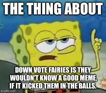 I'll Have You Know Spongebob | THE THING ABOUT DOWN VOTE FAIRIES IS THEY WOULDN'T KNOW A GOOD MEME, IF IT KICKED THEM IN THE BALLS. | image tagged in memes,ill have you know spongebob | made w/ Imgflip meme maker