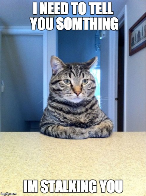 Take A Seat Cat Meme | I NEED TO TELL YOU SOMTHING IM STALKING YOU | image tagged in memes,take a seat cat | made w/ Imgflip meme maker