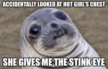 She just looked at me like, "You little piece of crap..." | ACCIDENTALLY LOOKED AT HOT GIRL'S CHEST SHE GIVES ME THE STINK EYE | image tagged in memes,awkward moment sealion | made w/ Imgflip meme maker