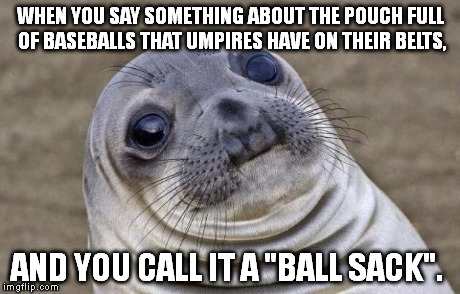 Awkward Moment Sealion | WHEN YOU SAY SOMETHING ABOUT THE POUCH FULL OF BASEBALLS THAT UMPIRES HAVE ON THEIR BELTS, AND YOU CALL IT A "BALL SACK". | image tagged in memes,awkward moment sealion | made w/ Imgflip meme maker