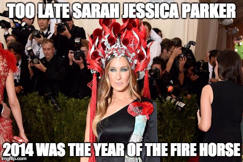 Sarah Jessica Parker Horse | TOO LATE SARAH JESSICA PARKER 2014 WAS THE YEAR OF THE FIRE HORSE | image tagged in fire horse,sjp,sarah jessica parker | made w/ Imgflip meme maker