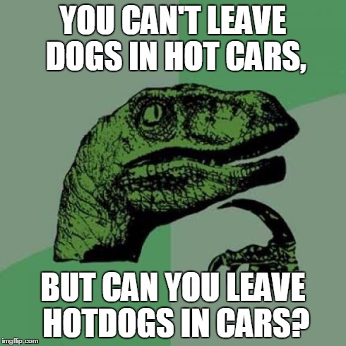 Philosoraptor | YOU CAN'T LEAVE DOGS IN HOT CARS, BUT CAN YOU LEAVE HOTDOGS IN CARS? | image tagged in memes,philosoraptor | made w/ Imgflip meme maker