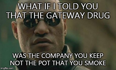 Matrix Morpheus | WHAT IF I TOLD YOU THAT THE GATEWAY DRUG WAS THE COMPANY YOU KEEP NOT THE POT THAT YOU SMOKE | image tagged in memes,matrix morpheus | made w/ Imgflip meme maker