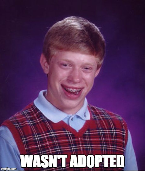 Bad Luck Brian Meme | WASN'T ADOPTED | image tagged in memes,bad luck brian | made w/ Imgflip meme maker