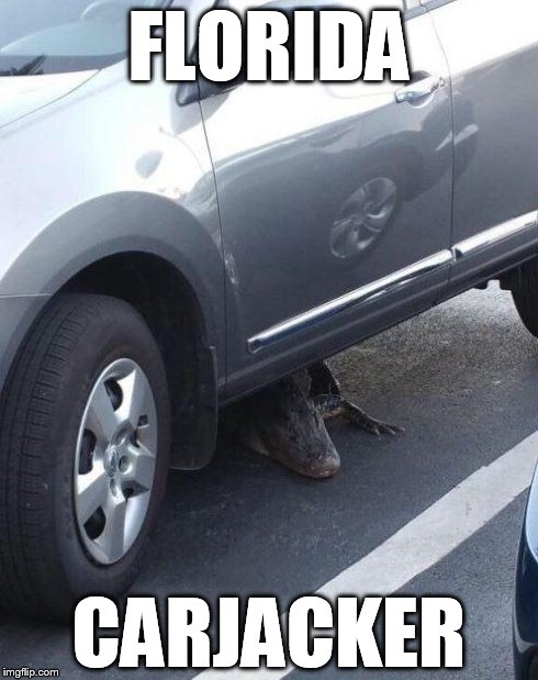 Florida Carjacker | FLORIDA CARJACKER | image tagged in florida,problems | made w/ Imgflip meme maker