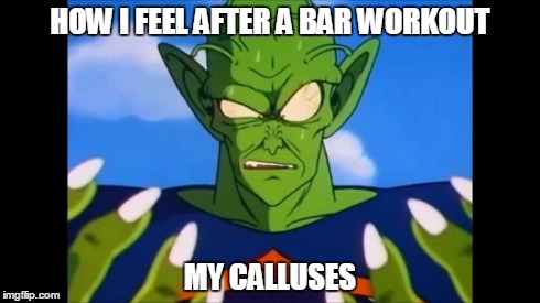 HOW I FEEL AFTER A BAR WORKOUT MY CALLUSES | image tagged in funny memes | made w/ Imgflip meme maker