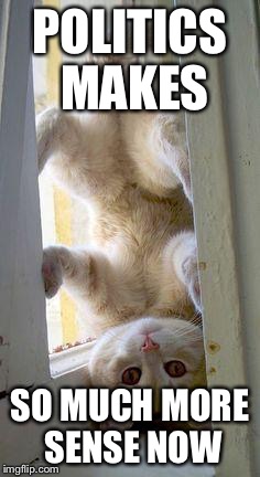 upside down cat | POLITICS MAKES SO MUCH MORE SENSE NOW | image tagged in upside down cat | made w/ Imgflip meme maker