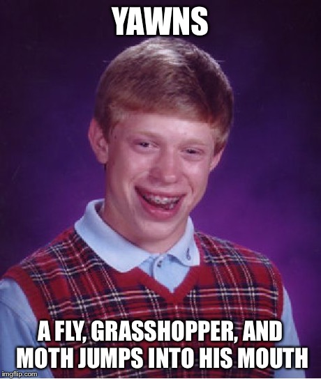 Bad Luck Brian Meme | YAWNS A FLY, GRASSHOPPER, AND MOTH JUMPS INTO HIS MOUTH | image tagged in memes,bad luck brian | made w/ Imgflip meme maker