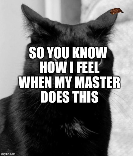 pissed cat | SO YOU KNOW HOW I FEEL WHEN MY MASTER DOES THIS | image tagged in pissed cat,scumbag | made w/ Imgflip meme maker