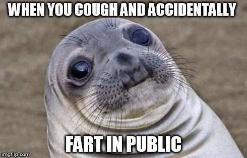 Awkward Moment Sealion | WHEN YOU COUGH AND ACCIDENTALLY FART IN PUBLIC | image tagged in memes,awkward moment sealion | made w/ Imgflip meme maker