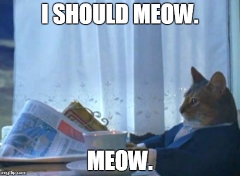 I Should Buy A Boat Cat | I SHOULD MEOW. MEOW. | image tagged in memes,i should buy a boat cat | made w/ Imgflip meme maker