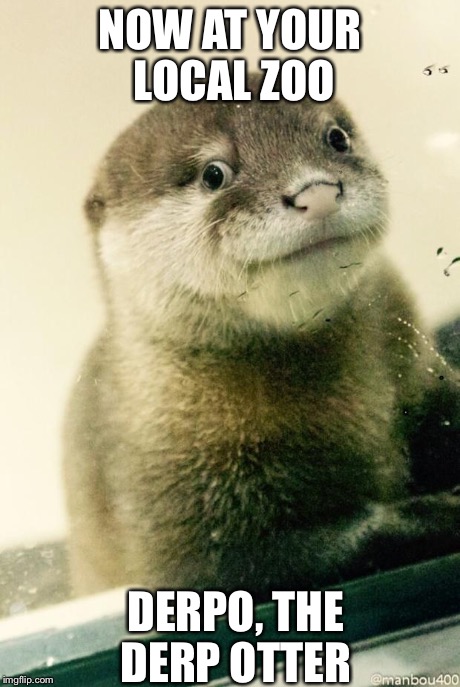 Derp otter  | NOW AT YOUR LOCAL ZOO DERPO, THE DERP OTTER | image tagged in derp otter  | made w/ Imgflip meme maker