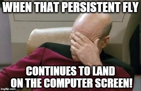 Captain Picard Facepalm | WHEN THAT PERSISTENT FLY CONTINUES TO LAND ON THE COMPUTER SCREEN! | image tagged in memes,captain picard facepalm | made w/ Imgflip meme maker