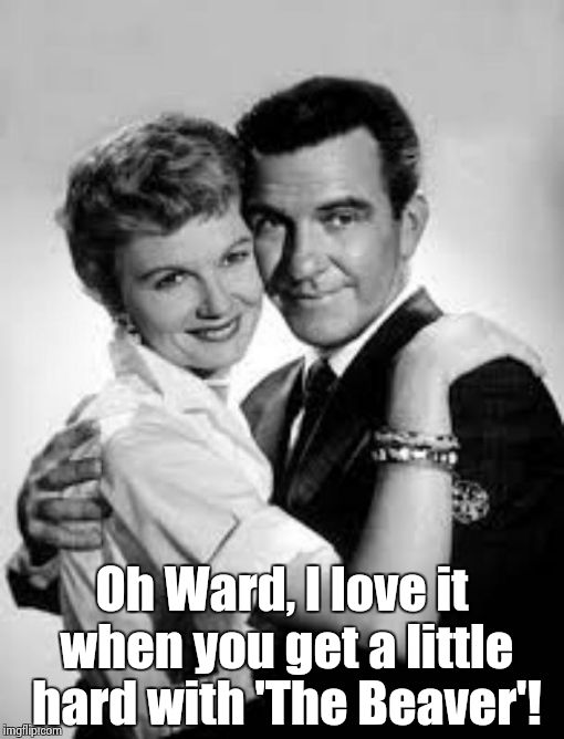 Oh Ward, I love it when you get a little hard with 'The Beaver'! | image tagged in beaver | made w/ Imgflip meme maker
