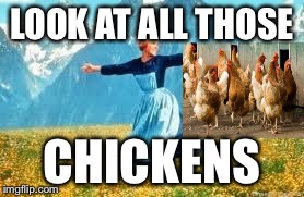 Look At All These Meme | LOOK AT ALL THOSE CHICKENS | image tagged in memes,look at all these | made w/ Imgflip meme maker