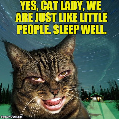 Cats are People, Too! | YES, CAT LADY, WE ARE JUST LIKE LITTLE PEOPLE. SLEEP WELL. | image tagged in cats,vince vance,pussy cats,people features on a cat,freaky cat,cat  with teeth | made w/ Imgflip meme maker