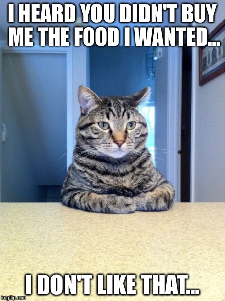 Take A Seat Cat | I HEARD YOU DIDN'T BUY ME THE FOOD I WANTED… I DON'T LIKE THAT… | image tagged in memes,take a seat cat | made w/ Imgflip meme maker