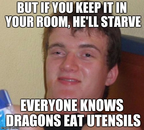 10 Guy Meme | BUT IF YOU KEEP IT IN YOUR ROOM, HE'LL STARVE EVERYONE KNOWS DRAGONS EAT UTENSILS | image tagged in memes,10 guy | made w/ Imgflip meme maker