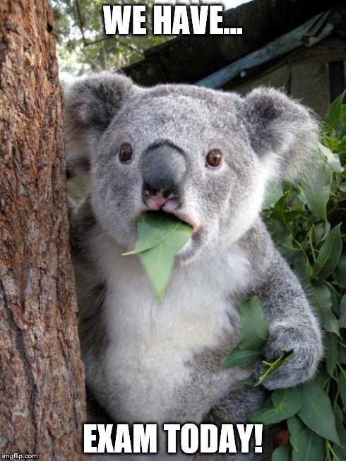 Surprised Koala | WE HAVE... EXAM TODAY! | image tagged in memes,surprised koala | made w/ Imgflip meme maker