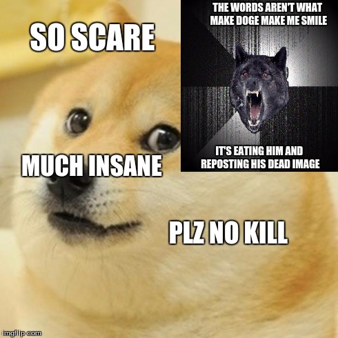Doge Meme | SO SCARE MUCH INSANE PLZ NO KILL THE WORDS AREN'T WHAT MAKE DOGE MAKE ME SMILE IT'S EATING HIM AND REPOSTING HIS DEAD IMAGE | image tagged in memes,doge | made w/ Imgflip meme maker