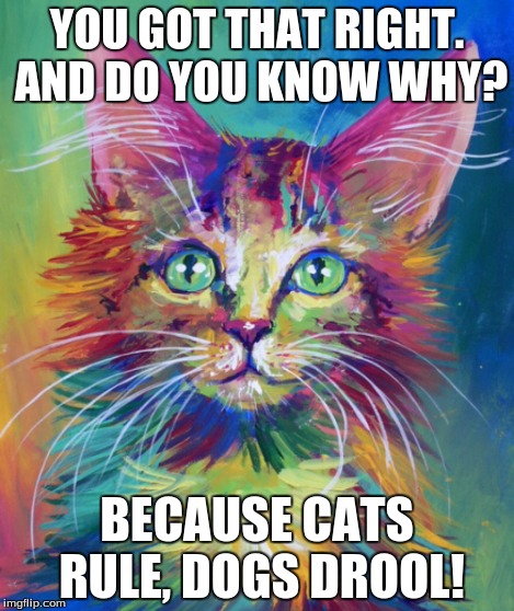 YOU GOT THAT RIGHT. AND DO YOU KNOW WHY? BECAUSE CATS RULE, DOGS DROOL! | made w/ Imgflip meme maker