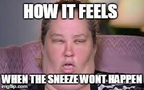 I hate it when this happens | HOW IT FEELS WHEN THE SNEEZE WONT HAPPEN | image tagged in whatever123 | made w/ Imgflip meme maker