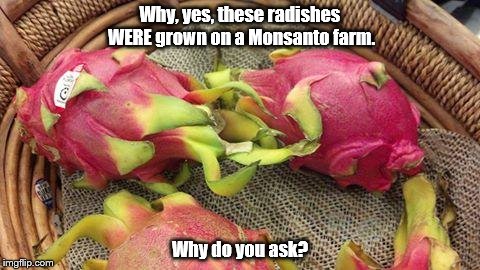Why, yes, these radishes WERE grown on a Monsanto farm. Why do you ask? | image tagged in mutantradish,monsanto | made w/ Imgflip meme maker