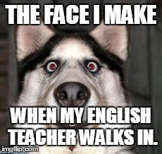 THE FACE I MAKE WHEN MY ENGLISH TEACHER WALKS IN. | image tagged in shitting himself sam | made w/ Imgflip meme maker