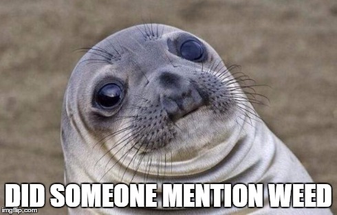 Awkward Moment Sealion | DID SOMEONE MENTION WEED | image tagged in memes,awkward moment sealion | made w/ Imgflip meme maker