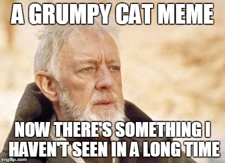 Obi Wan Kenobi Meme | A GRUMPY CAT MEME NOW THERE'S SOMETHING I HAVEN'T SEEN IN A LONG TIME | image tagged in memes,obi wan kenobi | made w/ Imgflip meme maker
