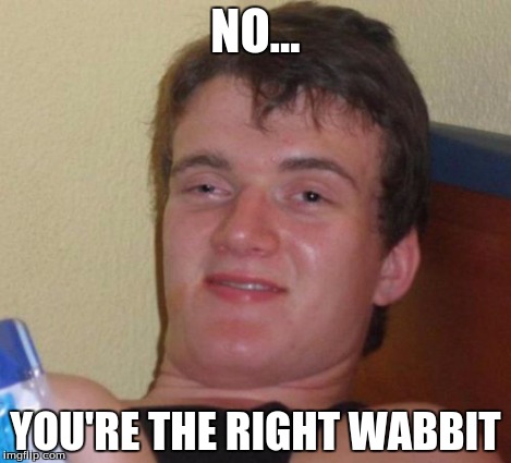 10 Guy Meme | NO... YOU'RE THE RIGHT WABBIT | image tagged in memes,10 guy | made w/ Imgflip meme maker