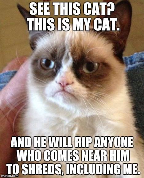 Grumpy Cat Meme | SEE THIS CAT? THIS IS MY CAT. AND HE WILL RIP ANYONE WHO COMES NEAR HIM TO SHREDS, INCLUDING ME. | image tagged in memes,grumpy cat | made w/ Imgflip meme maker