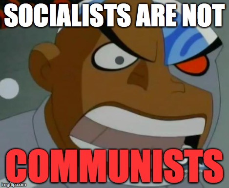 What Do You Mean...Cyborg | SOCIALISTS ARE NOT COMMUNISTS | image tagged in what do you meancyborg | made w/ Imgflip meme maker