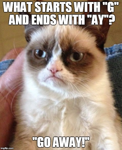 Grumpy Cat Meme | WHAT STARTS WITH "G" AND ENDS WITH "AY"? "GO AWAY!" | image tagged in memes,grumpy cat | made w/ Imgflip meme maker