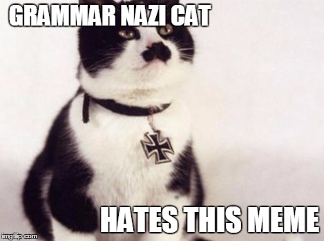 Nazi cat | GRAMMAR NAZI CAT HATES THIS MEME | image tagged in nazi cat | made w/ Imgflip meme maker