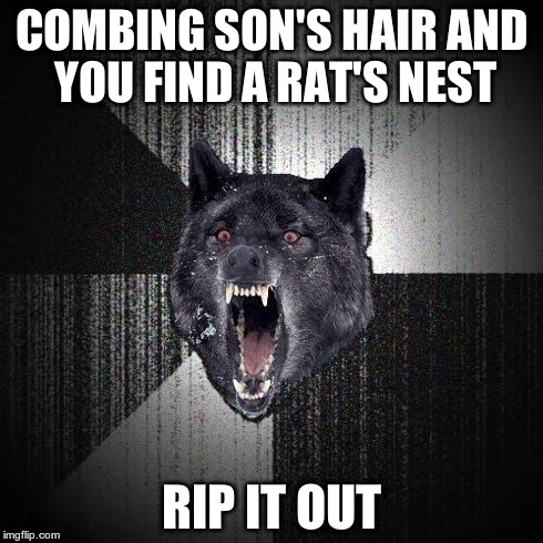 Insanity Wolf | COMBING SON'S HAIR AND YOU FIND A RAT'S NEST RIP IT OUT | image tagged in memes,insanity wolf | made w/ Imgflip meme maker
