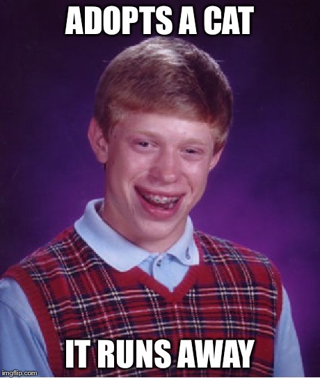 Bad Luck Brian Meme | ADOPTS A CAT IT RUNS AWAY | image tagged in memes,bad luck brian | made w/ Imgflip meme maker