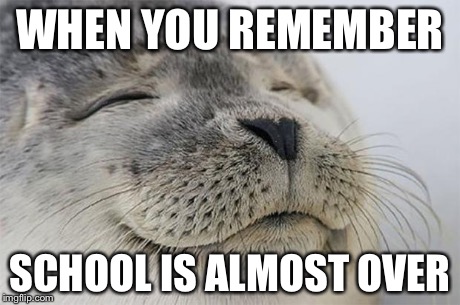 Satisfied Seal Meme | WHEN YOU REMEMBER SCHOOL IS ALMOST OVER | image tagged in memes,satisfied seal | made w/ Imgflip meme maker