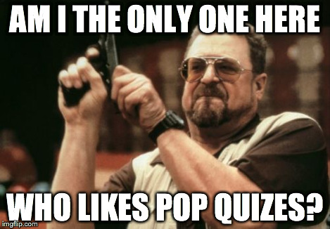 Am I The Only One Around Here Meme | AM I THE ONLY ONE HERE WHO LIKES POP QUIZES? | image tagged in memes,am i the only one around here | made w/ Imgflip meme maker