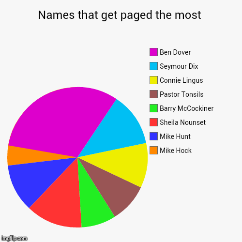 Looking for Amanda Huggenkiss? | image tagged in funny,pie charts | made w/ Imgflip chart maker