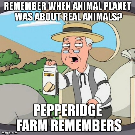Pepperidge Farm Remembers | REMEMBER WHEN ANIMAL PLANET WAS ABOUT REAL ANIMALS? PEPPERIDGE FARM REMEMBERS | image tagged in memes,pepperidge farm remembers | made w/ Imgflip meme maker