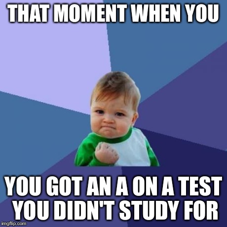 Success Kid | THAT MOMENT WHEN YOU YOU GOT AN A ON A TEST YOU DIDN'T STUDY FOR | image tagged in memes,success kid | made w/ Imgflip meme maker