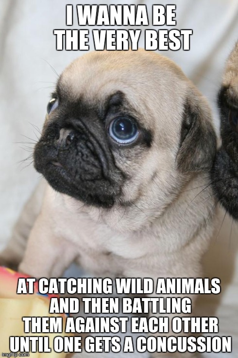 Destiny Pug | I WANNA BE THE VERY BEST AT CATCHING WILD ANIMALS AND THEN BATTLING THEM AGAINST EACH OTHER UNTIL ONE GETS A CONCUSSION | image tagged in destiny pug,pokemon | made w/ Imgflip meme maker