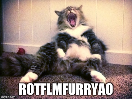 ROTFLMFURRYAO | ROTFLMFURRYAO | image tagged in laughing cat,rotflmao,lol,rotflmfao,funny,cat | made w/ Imgflip meme maker
