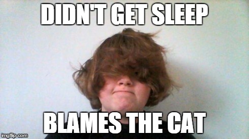 DIDN'T GET SLEEP BLAMES THE CAT | image tagged in bad hair day | made w/ Imgflip meme maker