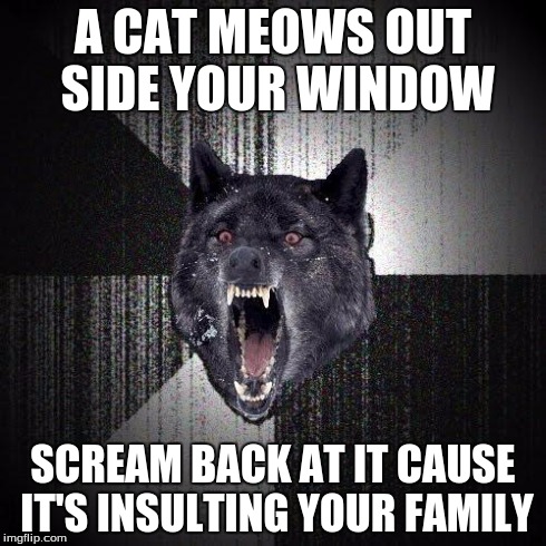 Insanity Wolf Meme | A CAT MEOWS OUT SIDE YOUR WINDOW SCREAM BACK AT IT CAUSE IT'S INSULTING YOUR FAMILY | image tagged in memes,insanity wolf | made w/ Imgflip meme maker